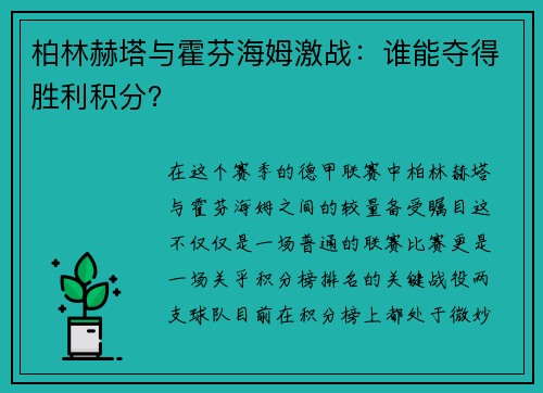 柏林赫塔与霍芬海姆激战：谁能夺得胜利积分？